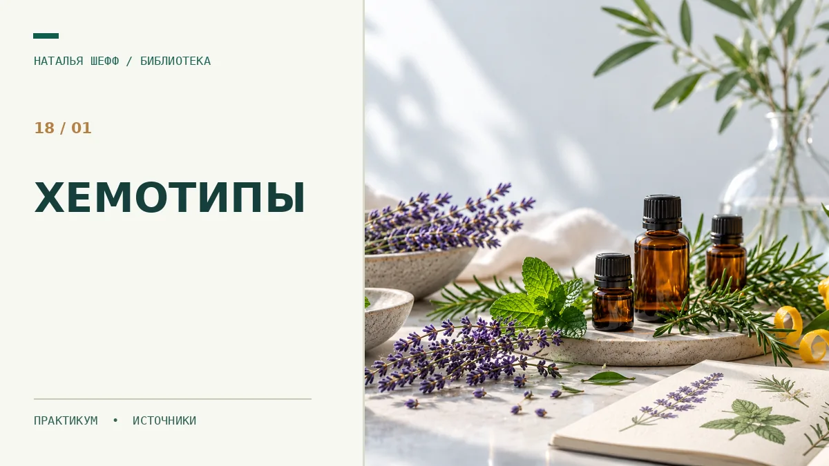 Хемотип эфирного масла: что означает пометка на этикетке